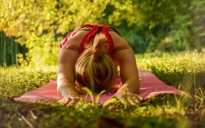 YIN YOGA – DON LIBRE